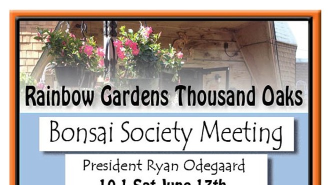 Bonsai Society Meeting