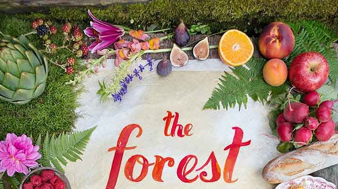 'The Forest Feast: Simple Vegetarian Recipes From My Cabin in the Woods' by Erin Gleeson