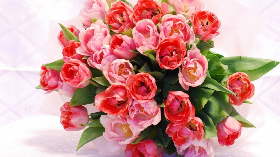 a-bouquet-of-red-tulips-3840x2160.jpeg