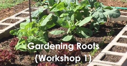 51e16aac_gardening-workshop-1.jpg