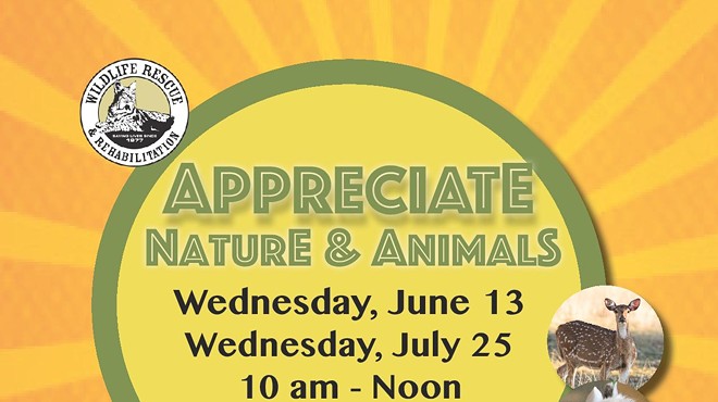 Appreciate Nature and Animals Workshop