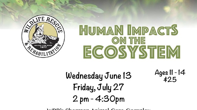 Human Impacts on the Ecosystem Workshop