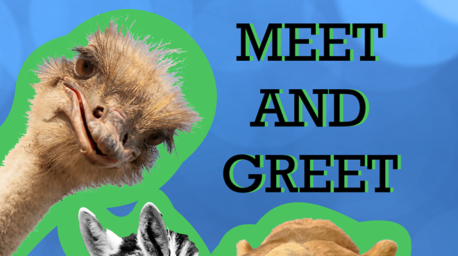 Exotic Animal Meet and Greet