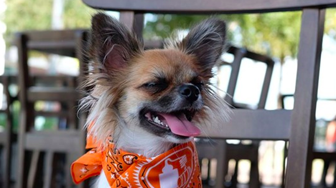Little Woodrow's, Tito's Teaming Up to Host Pup Parties This Month
