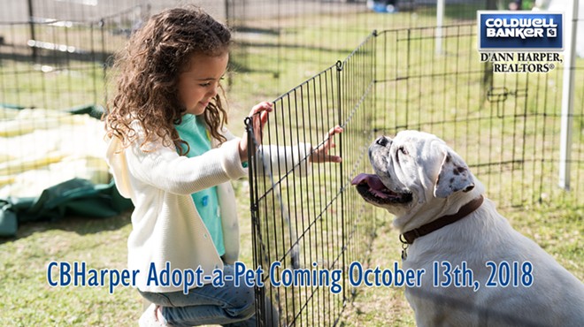 CBHarper Adopt-a-Pet