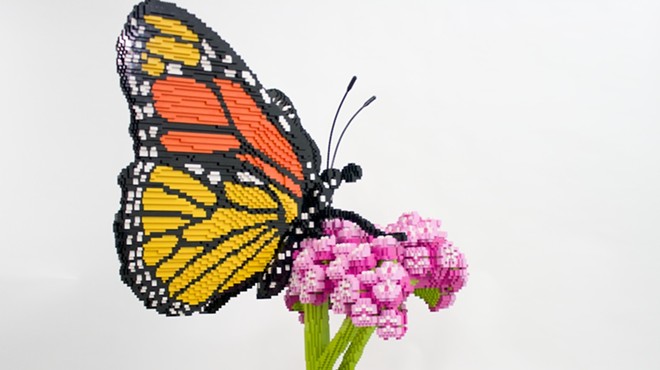 New San Antonio Botanical Garden Showcase Brings Attention to Nature Topics Through LEGO Art