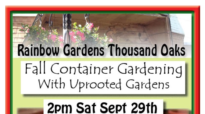 Fall Container Gardening with Uprooted Gardens