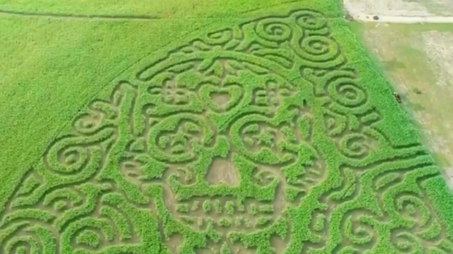 Circle N Maze's latest creation is cut into the image of a Dia de los Muertos sugar skull.