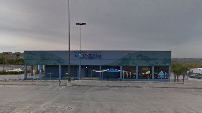 San Antonio Aquarium Temporarily Shut Down for Multiple Code Violations