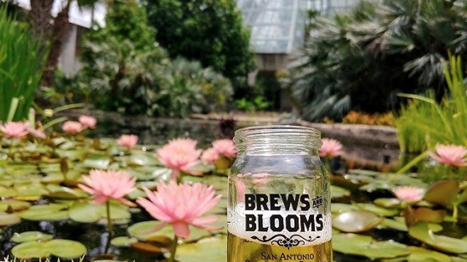 Early Bird Tickets Set to Go On Sale for San Antonio Botanical Garden's Brews and Blooms Event
