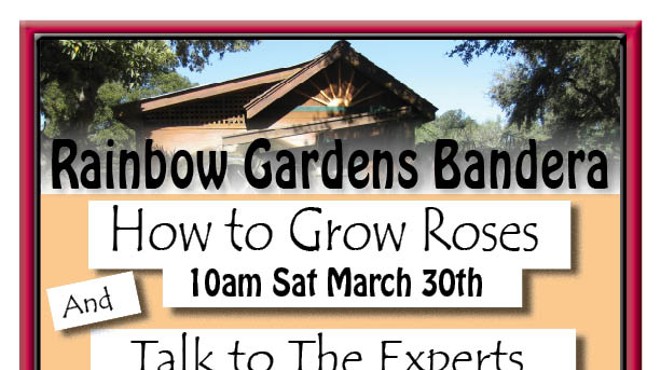 How To Grow Roses