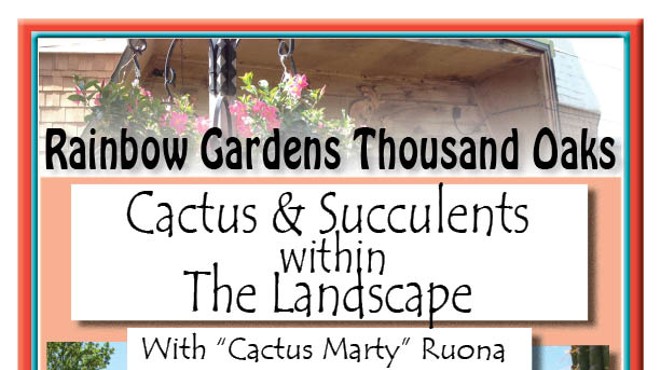 Cactus & Succulents Within The Landscape