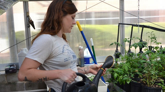 Cecile Parrish waters plants in a campus greenhouse.