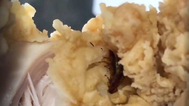 Customer Finds Bug Cooked Inside Chicken Tender from Bush's on Potranco Road