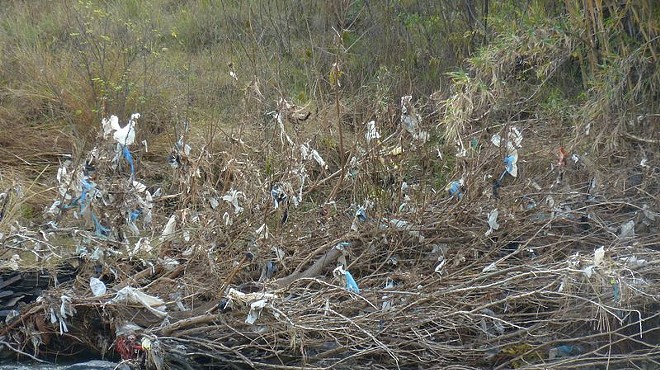 The effect of plastic bag pollution on a river.