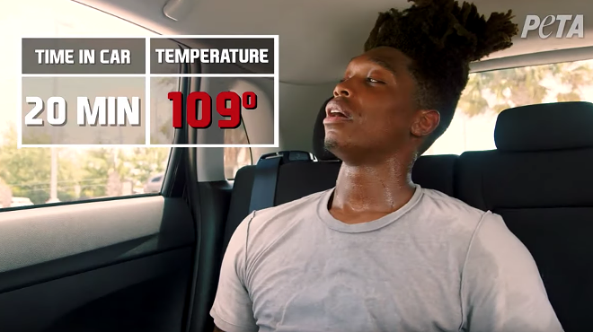 Spurs' Lonnie Walker IV Appears in PETA PSA to Prevent People From Leaving Pets in Hot Cars
