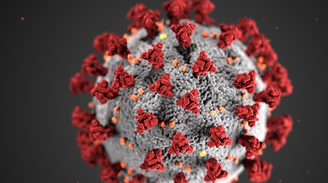 The COVID-19 virus is shown under a microscope in this image supplied by the federal government.