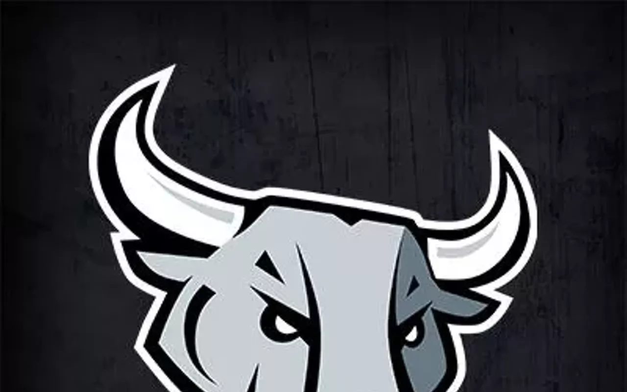 Image: San Antonio Rampage vs. Iowa Wild