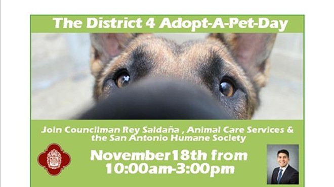 District 4 Adopt-A-Pet Day