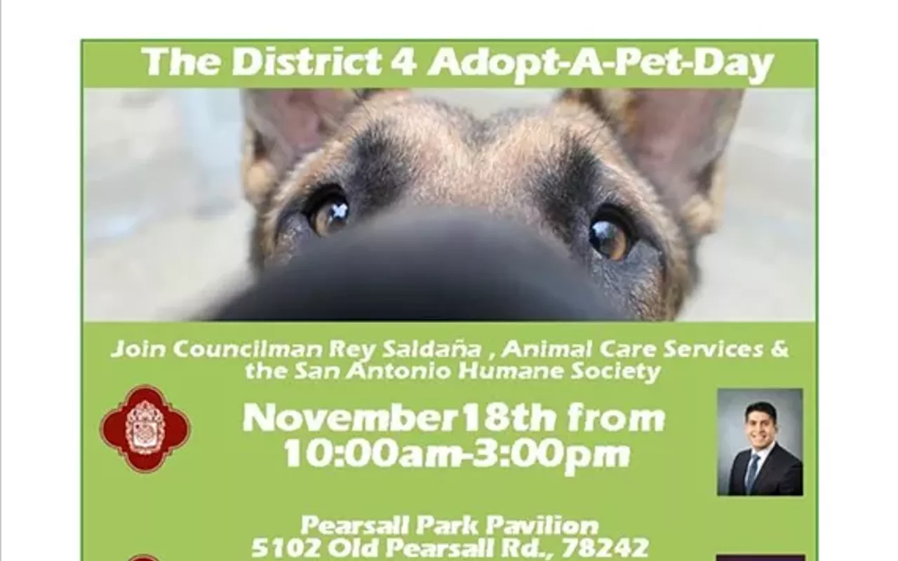 Image: District 4 Adopt-A-Pet Day