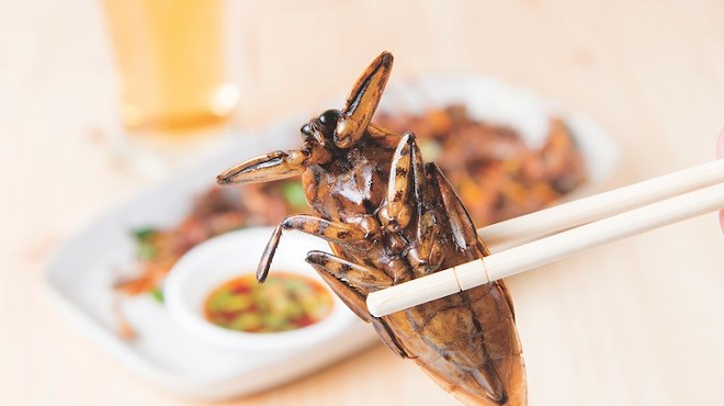 Chow Down on a Four-course Insect Dinner at the Witte