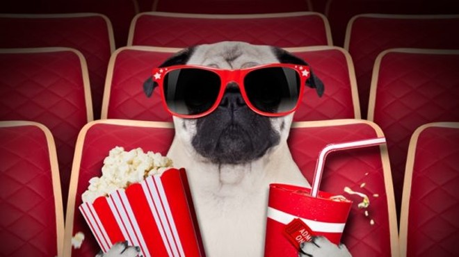 Pups Take Center Stage at Saturday’s New York Dog Film Festival