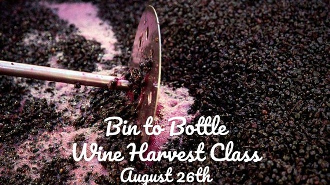Bin to Bottle Wine Harvest Class