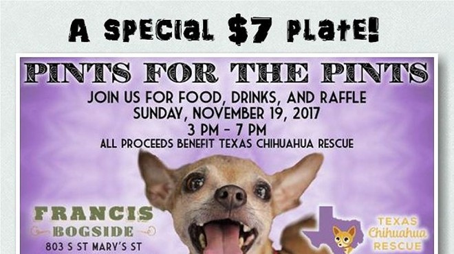 Texas Chihuahua Rescue: Pints for the Pints