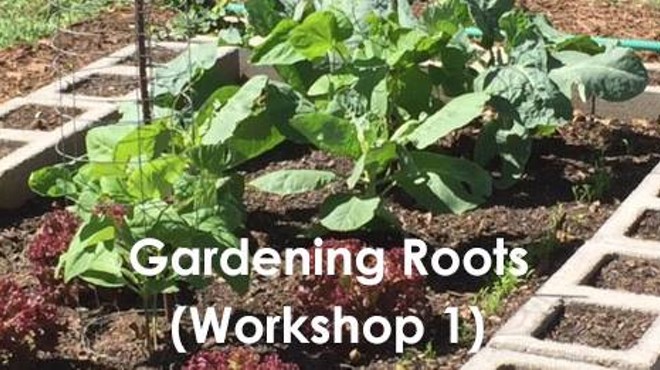 Gardening Roots (Workshop 1)