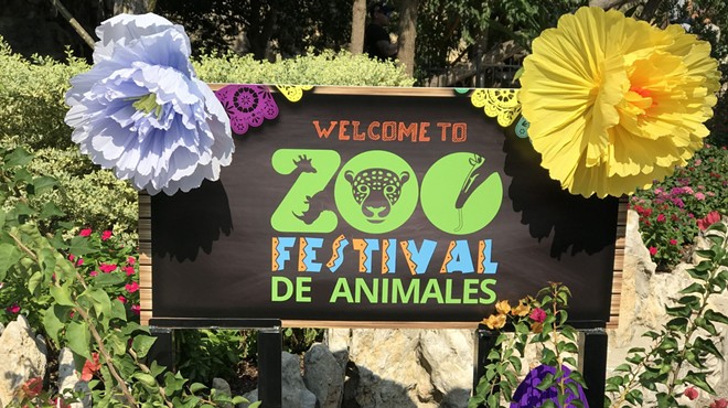 Festival De Animales