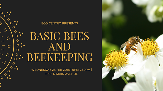 Basic Bees and Beekeeping