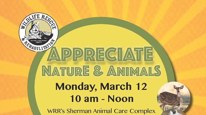 Appreciate Nature and Animals Workshop, Ages 6-10