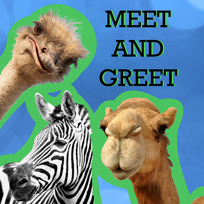 Exotic Animal Meet and Greet