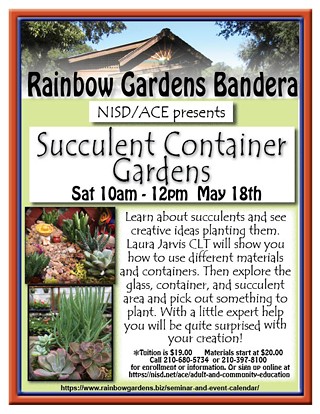 NISD/ACE Presents Succulent Container Gardens