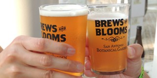 Brews and Blooms