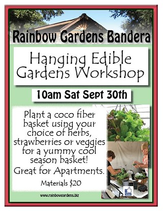 Hanging Edible Gardens Workshop
