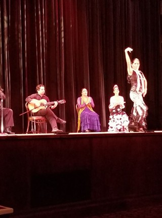 Alma Flamenco
