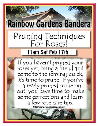 Pruning Techniques For Roses