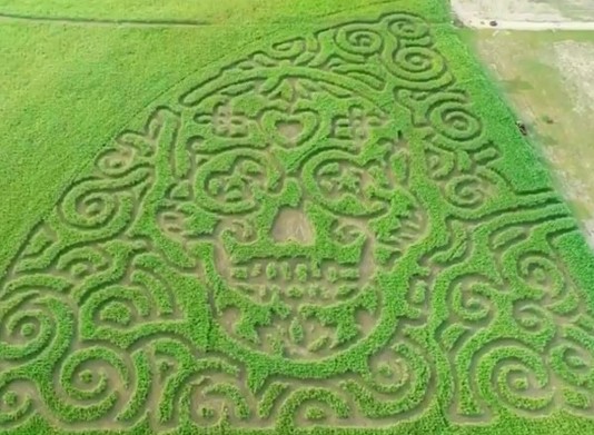 Circle N Maze
558 County Rd 345, La Vernia, (210) 326-1741, circlenmaze.com
From the place that brought you the “Texas Strong” maze last year after Hurricane Harvey, Circle N Maze is back with another crowd pleaser: a sugar skull maze. Head on out to La Vernia for a 5.5-acre maze you’re bound to be obsessed with. Don’t worry, there’s also a mini maze for the little ones. There’s also a pumpkin patch, photo stations, hay bale fun, a petting zoo, games, and even vendors and food trucks. Open on Fridays, Saturdays and Sundays beginning October 5 for $10 a person.
Photo courtesy of Circle N Maze