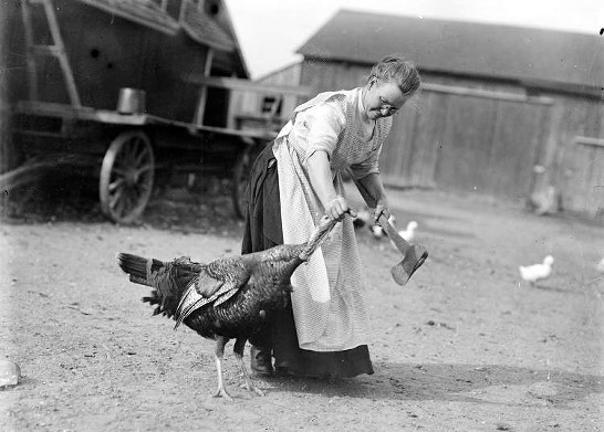 6. Minnesota is the leading turkey-producing state in the nation. In 2012, the state contributed over 44 million birds to the nation's supply. (Photo via Virtual Motor City)