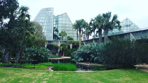 San Antonio Botanical Garden
555 Funston Pl., sabot.org
Photo via Instagram / tommy_las_vegas