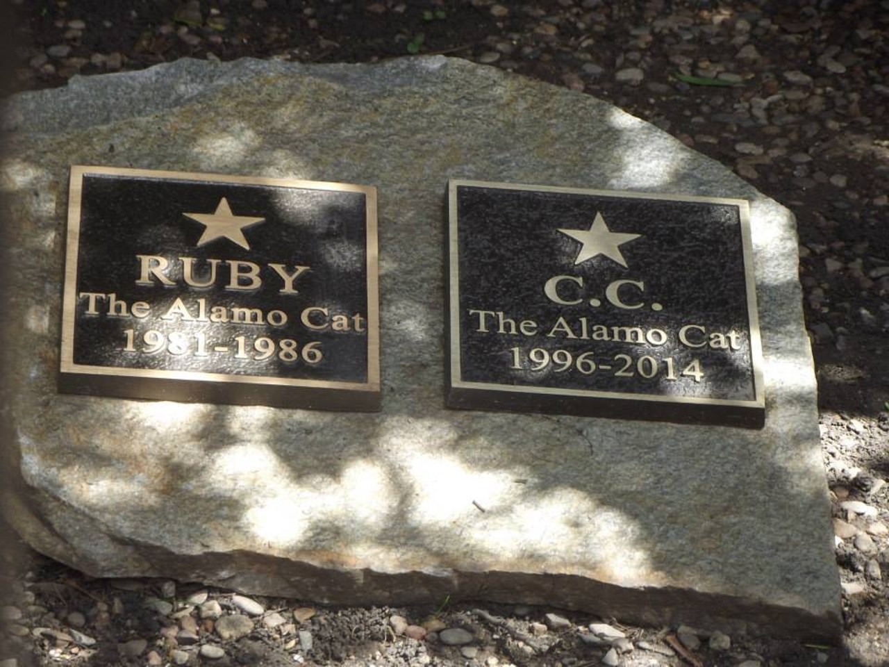 The Alamo cat graves
300 Alamo Plaza, thealamo.org
The Alamo may get its own share of visitors every year, but cat lovers should make it a task to sneak a peek of the graves of the cats that called the Alamo home. No, they weren’t alongside the “heroic” Texans at battle in 1836. Ruby was the Alamo Cat in the ‘80s while C.C was more recent. Don’t forget to pay your respects, fam.
Photo via Facebook / Darlene Parker Dickerson