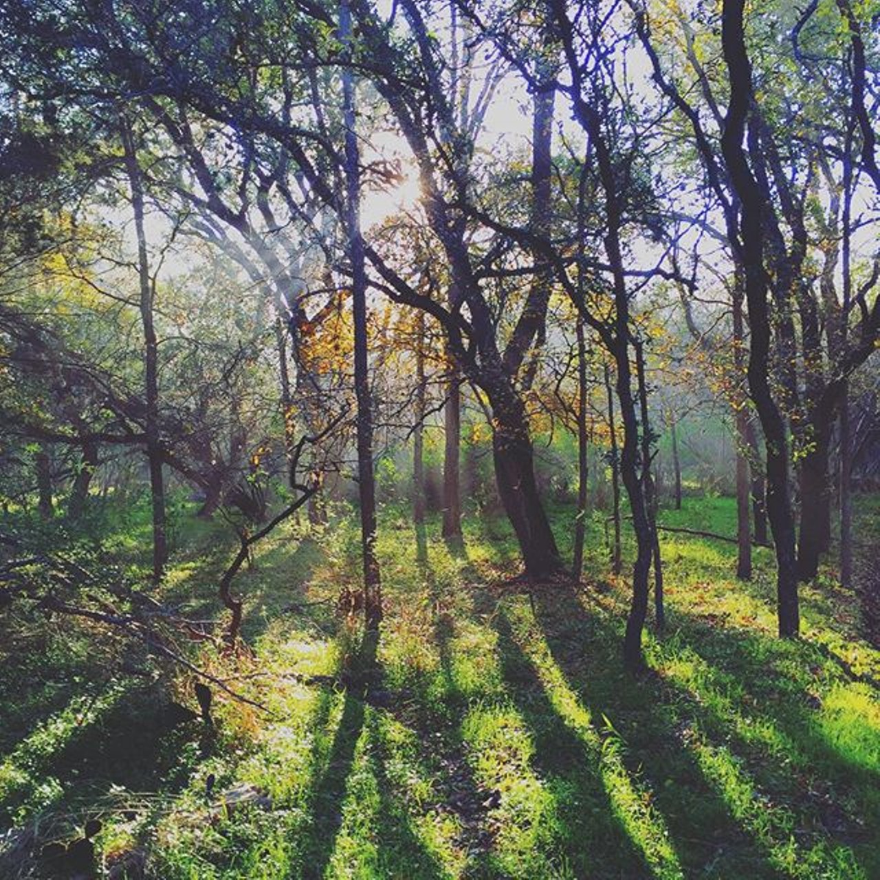 McAllister Park
If you&#146;re looking to stay in San Antonio to get your hike on, McAllister Park is a 6.5-mile loop that has a number of trails and welcomes dogs on leashes. 
http://bit.ly/1QTyJur
Photo via Ben.Mclovin/Instagram