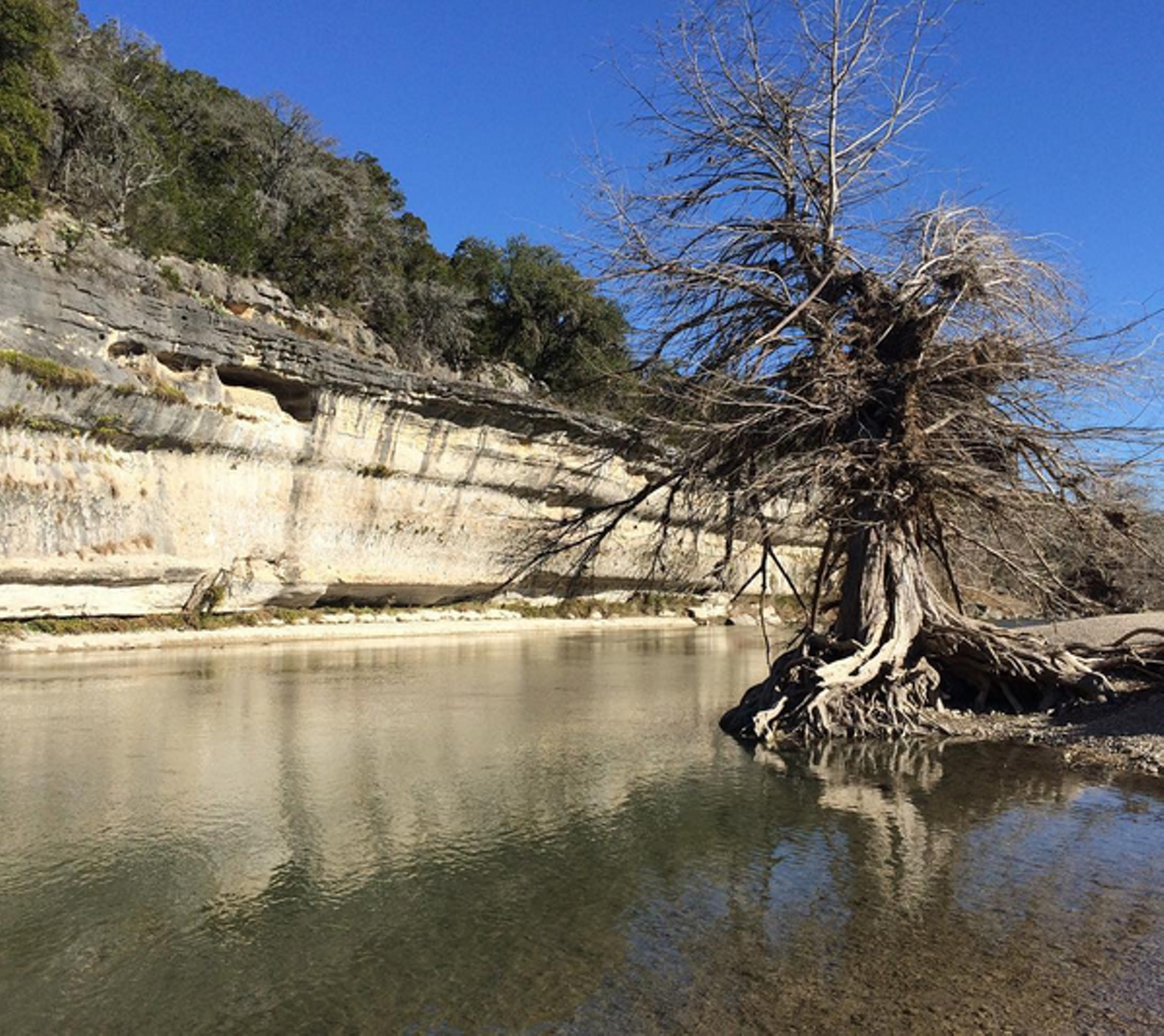 Guadalupe State Park
3350 Park Road 31, Spring BranchWith four miles of river frontage, Guadalupe State Park can satisfy all your swimming, tubing and fishing needs in one stop.
Instagram/bryanrindfuss