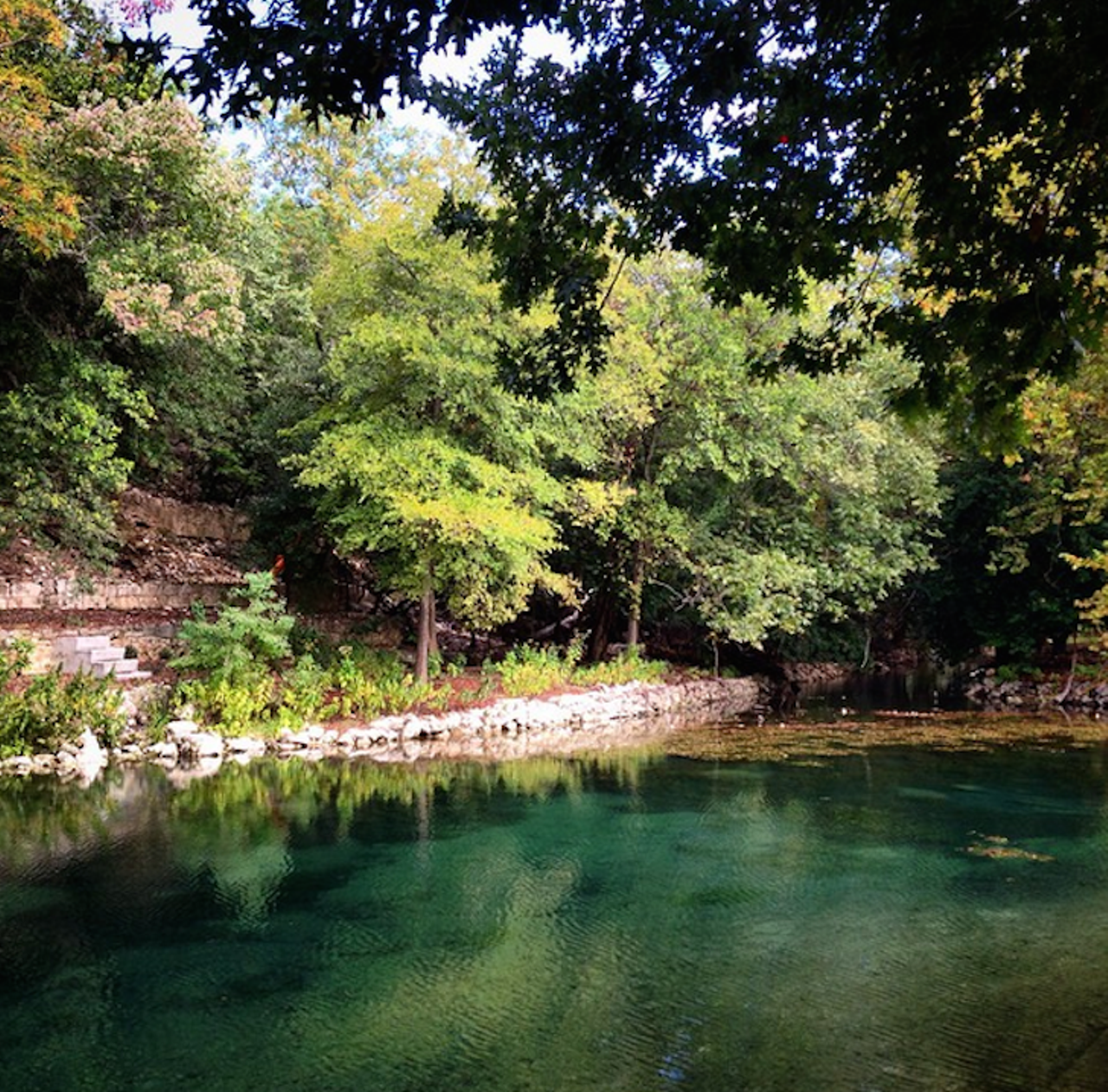 Comal Springs in New Braunfels, Texas  
164 Landa Park Dr, New Braunfels, Texas 78130, (830) 221-4000, nbtexas.org
Comal Springs is the largest group of artisan springs in Texas. 
Photo via Instagram (wildventurer)