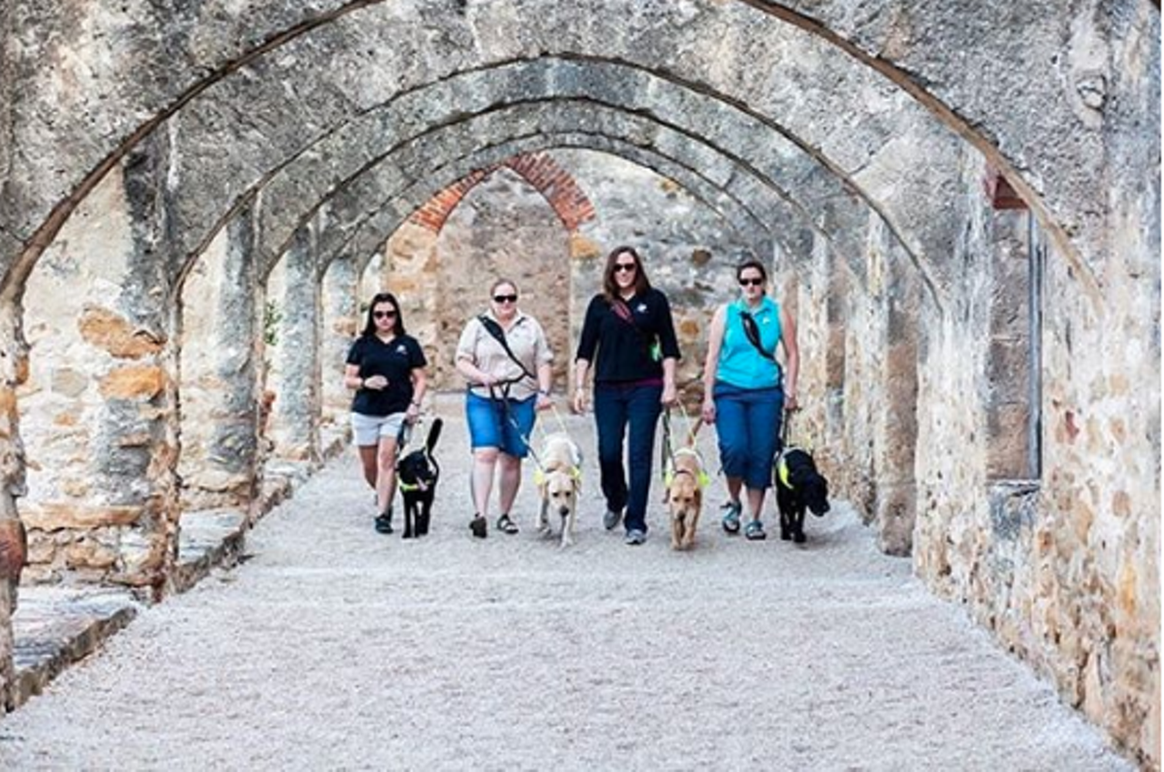  Guide Dogs of Texas
Photo via Instagram/guidedogsoftexas
