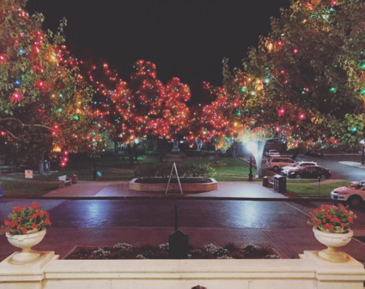 Incarnate Word
4301 Broadway St.
Walk around the college campus, which looks absolutely magical this time of year. 
Photo via Instagram,  abdulwhaab