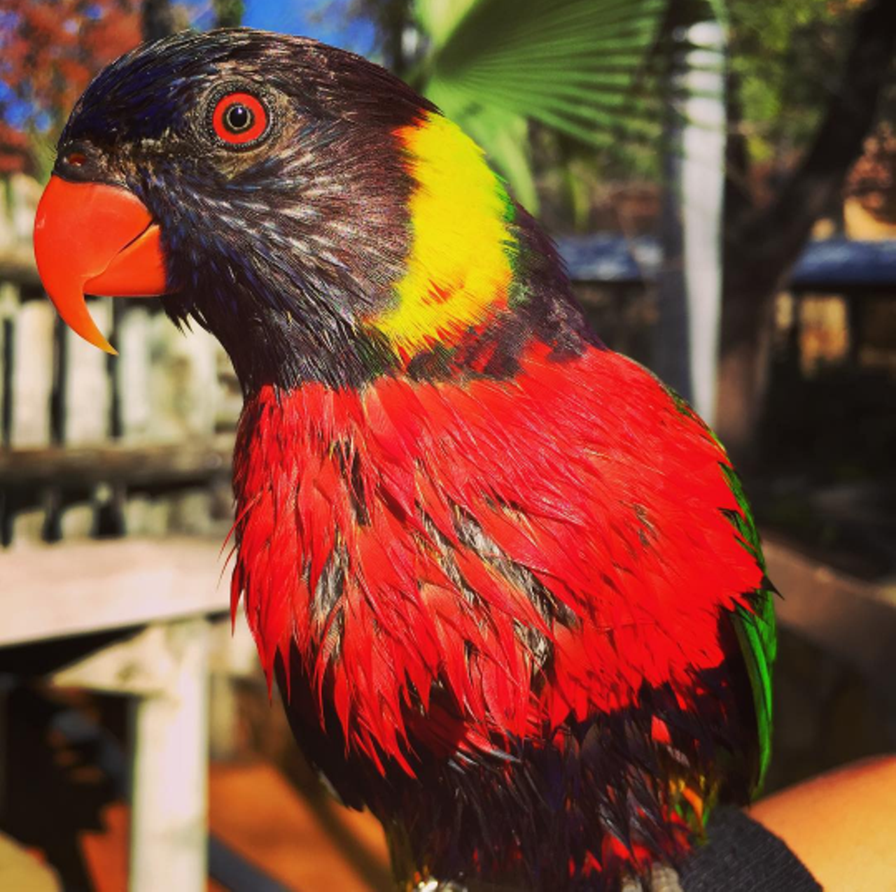  San Antonio Zoo
Photo via Instagram/sanantoniozoo