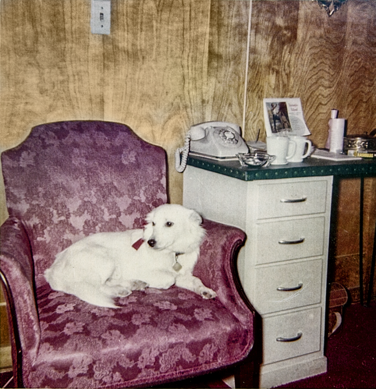 Trixie was abandoned by her owners near the Chicken Ranch. The women took the pup in and made her an unofficial mascot. Courtesy of Edna Milton Chadwell