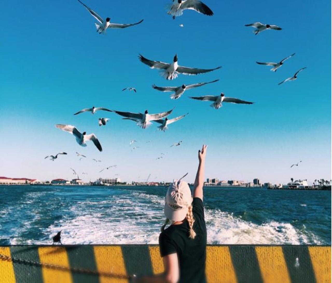 Crystal Beach
Travel time: 4 hours, 30 minutes
Have fun and feed some seagulls at during these hot summer months at Crystal Beach. 
Photo via Instagram,  leahbrene
